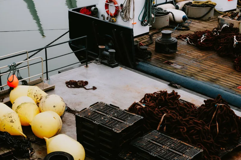 Moored to the Core: How Anchor Systems Quietly Cap Your Innovation Ceiling